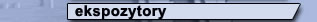 Ekspozytory
